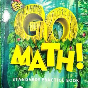 GO MATHEMATICS WORKBOOK 2