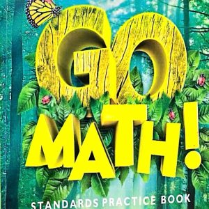 GO MATHEMATICS WORKBOOK 3