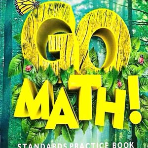 GO MATHEMATICS WORKBOOK 4