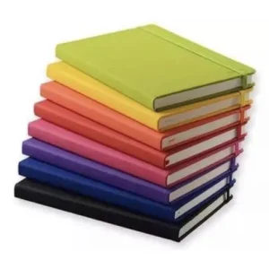 BRIGHTSIDE HIGH SCHOOL CLASS 10 COMPLETE COPY SET & NOTEBOOKS